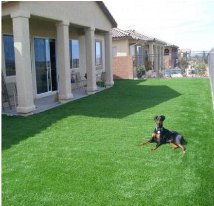 product-1-1 product-1-1