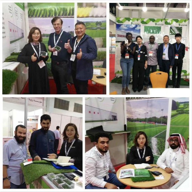 product-665-665 product-665-665